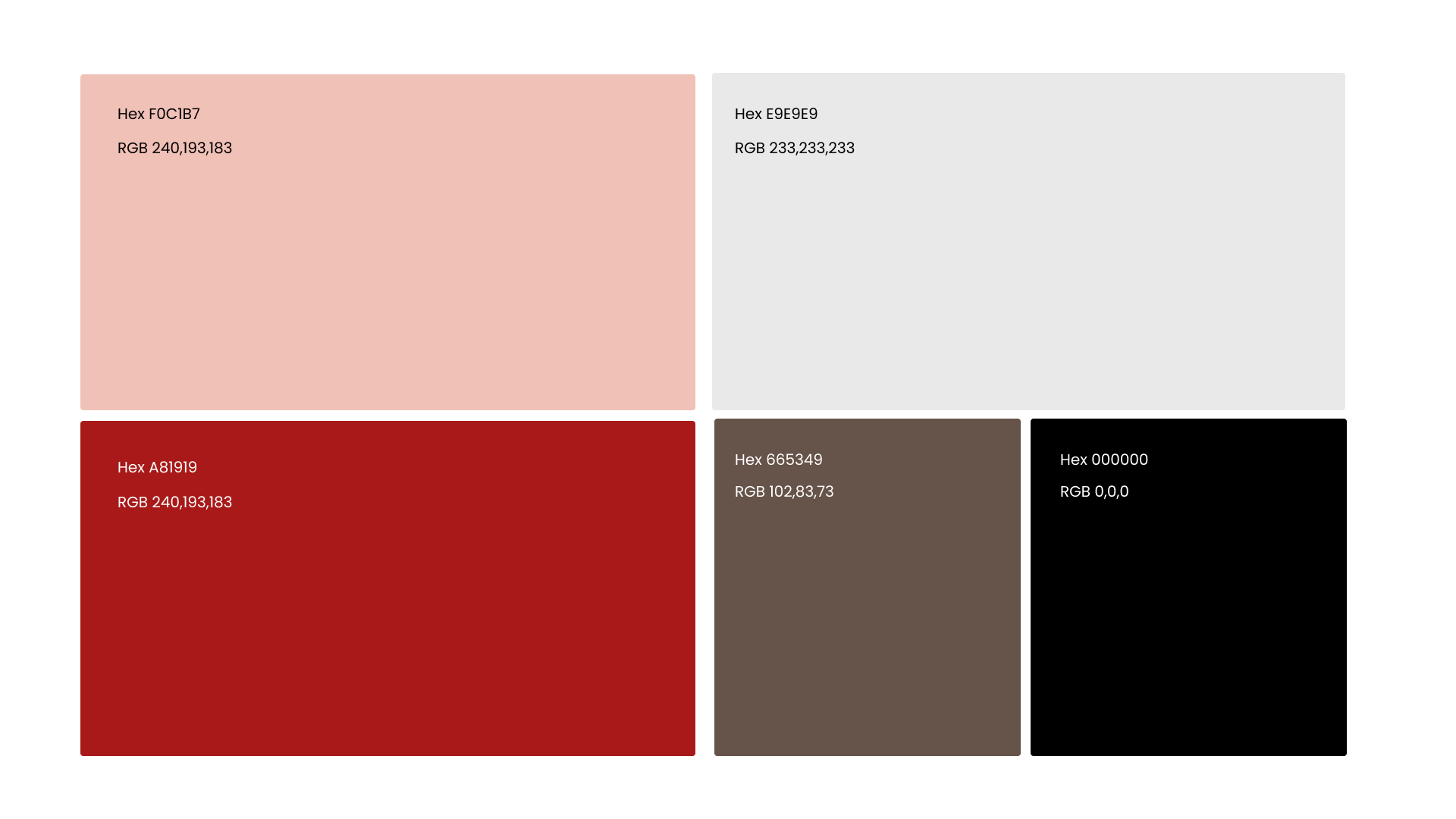 noa brand colors